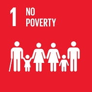 No poverty